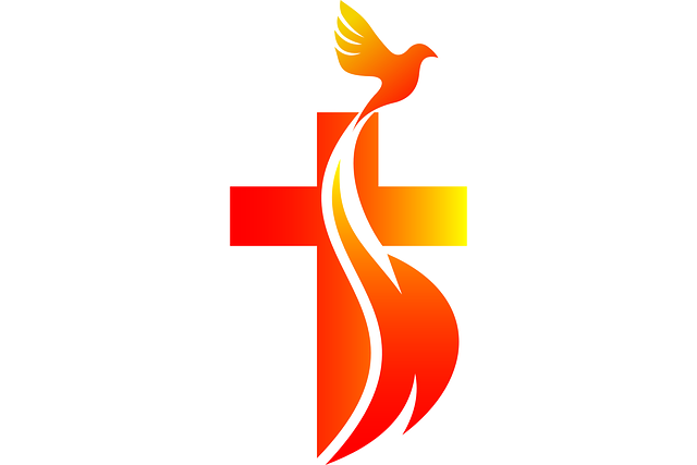 banner-image-two